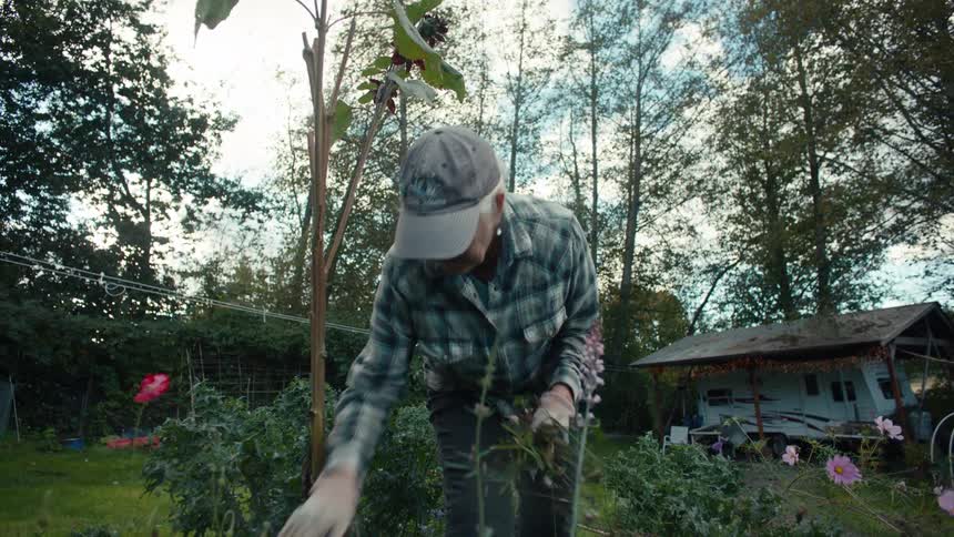 Elderly woman pulling weeds from her garden
