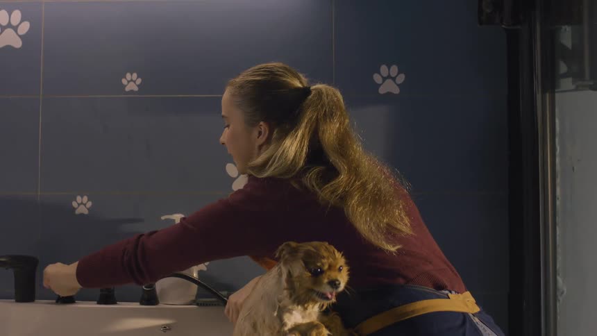 Woman bathing a dog in a pet shop bathtub