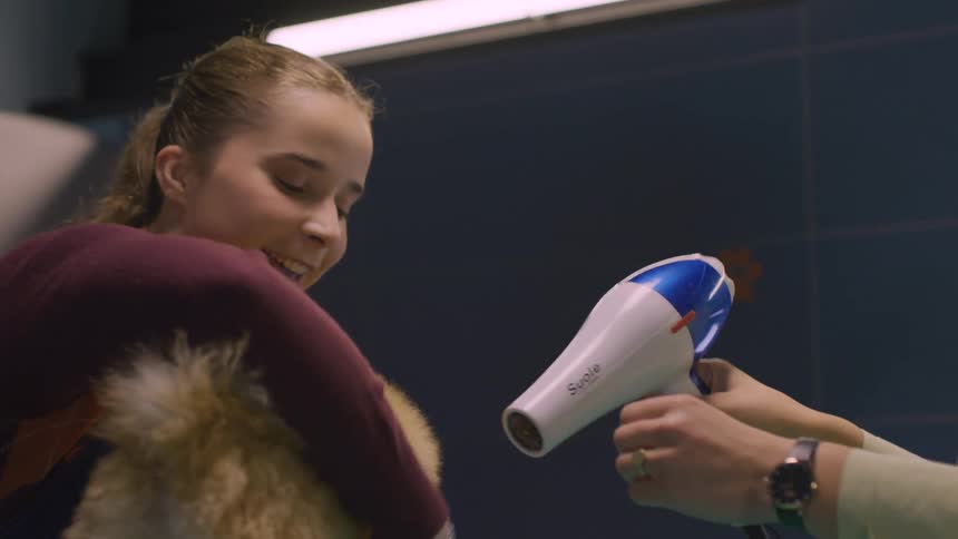 Two people groom a small fluffy dog one using a brush and the other holding a hairdryer