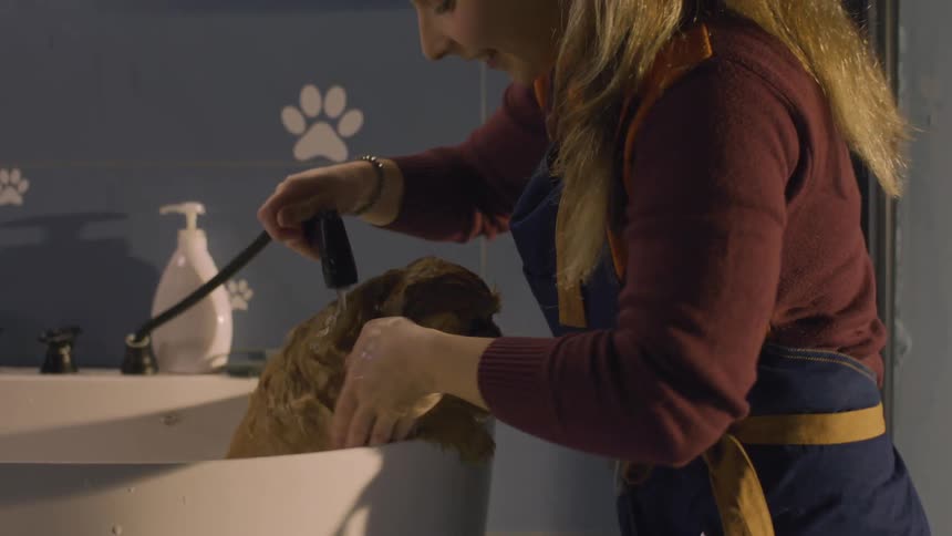A girl is washing her dog in the sink