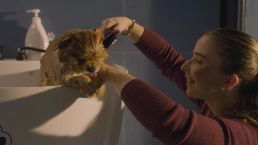 Woman bathing a dog in a bathtub