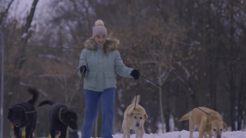Woman walking in a park in the snow with four dogs