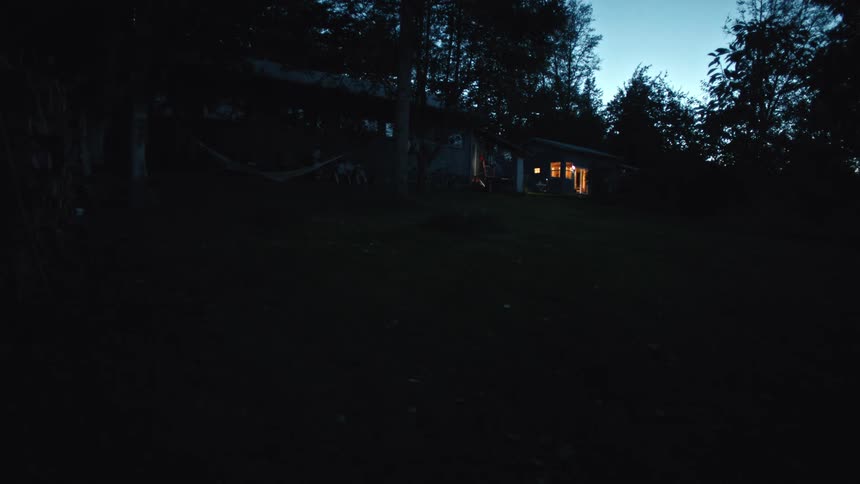 Houses with lights on in a forest at dusk
