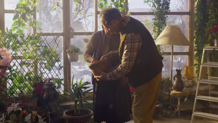Two people are standing in a sunlit room filled with various potted plants and greenery handing a small pot together