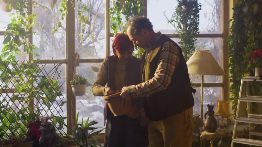 Two people are standing in a sunlit room filled with various potted plants and greenery handing a small potted plant together
