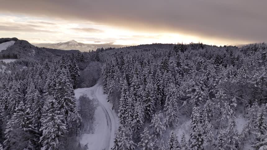 A dense forest of snow laden evergreen trees stretches under a cloudy sky with a glimpse of sunlight breaking through