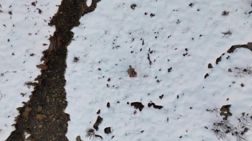Aerial view of a person walking on snow covered terrain