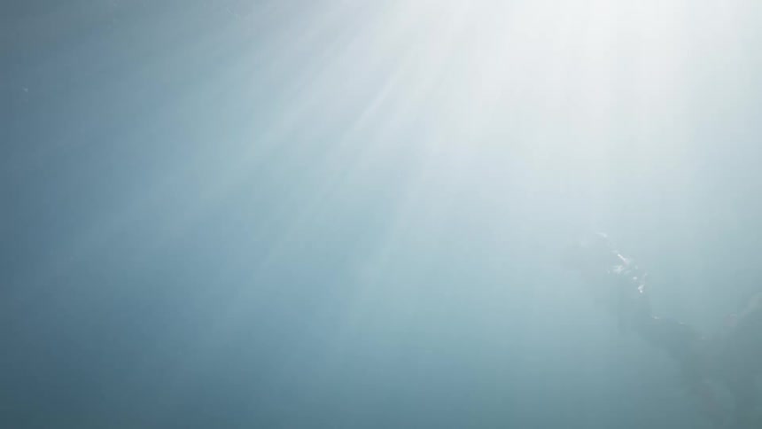 Underwater view with rays of light penetrating the surface