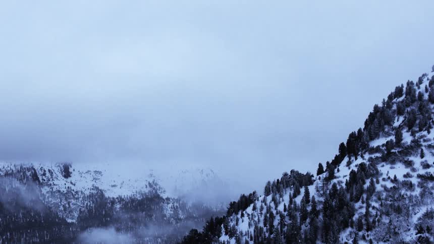 A snowcovered mountain range with dense clusters of evergreen trees partially obscured by mist and lowhanging clouds