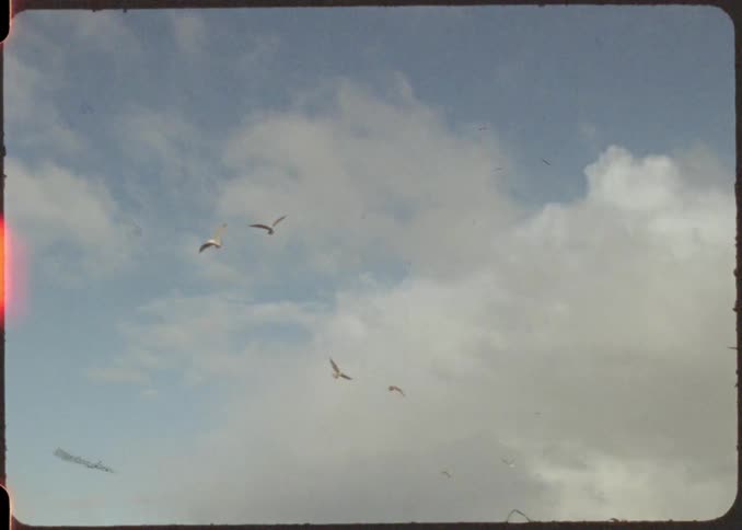 A sky filled with fluffy white clouds and several birds flying captured in a vintage film style