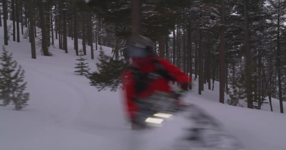 Person rides a snowmobile across a snowy slope through a conifer forest