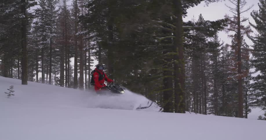 Person riding a snowmobile in a snowy forest
