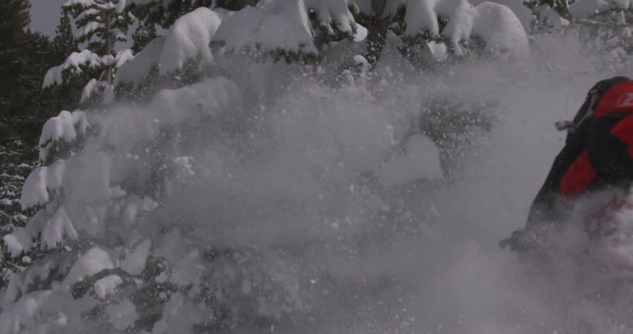 A rider in a red jacket and helmet collides with a snowcovered tree on a snowmobile sending powder flying in a chaotic spray