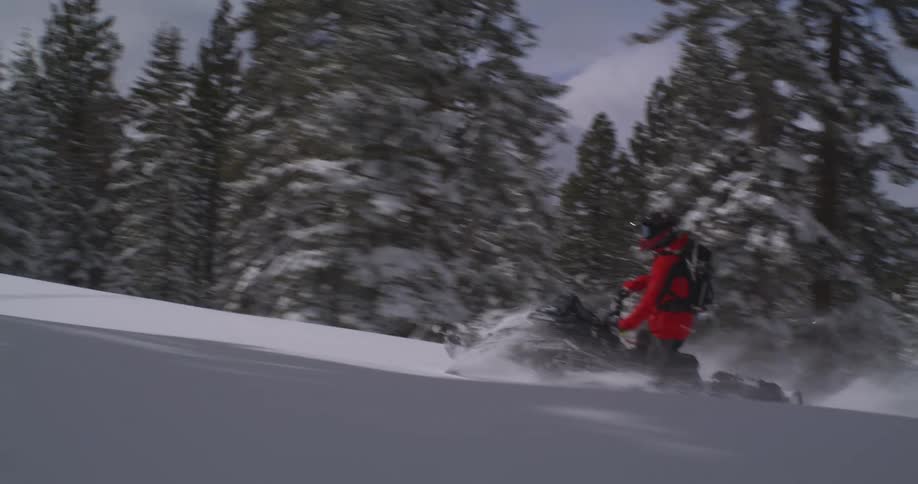 A snowmobiler in a red jacket speeds through a snowy forest kicking up a cloud of snow