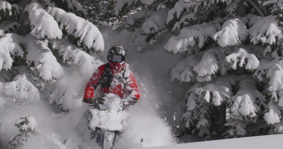 A person in a red jacket is riding a snowmobile through a snowy forest kicking up a trail of snow behind