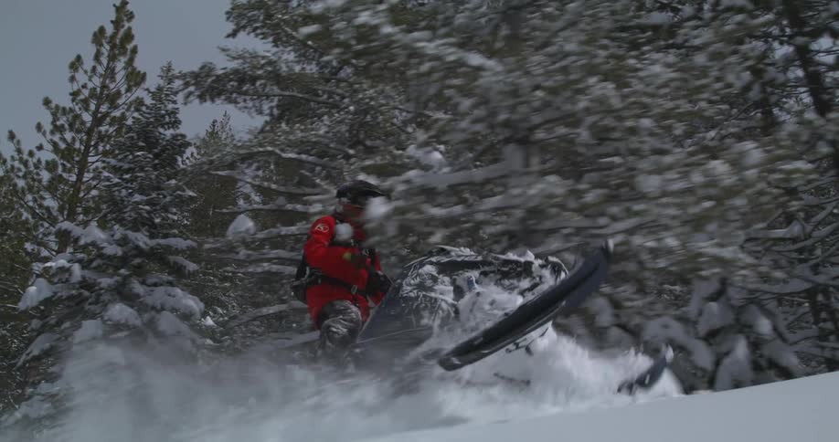 A person in a red jacket is riding a snowmobile through a snowy forest kicking up a trail of snow behind