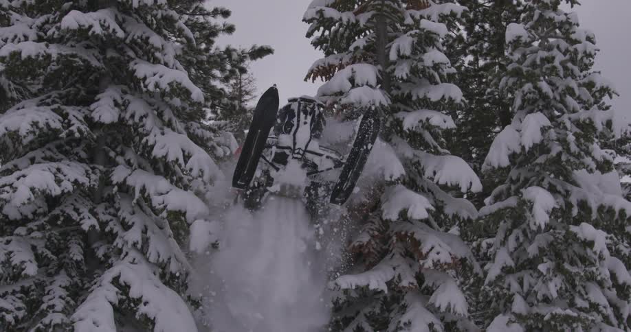 A person in red launches a snowmobile between snowcovered trees sending powder cascading as they burst into view