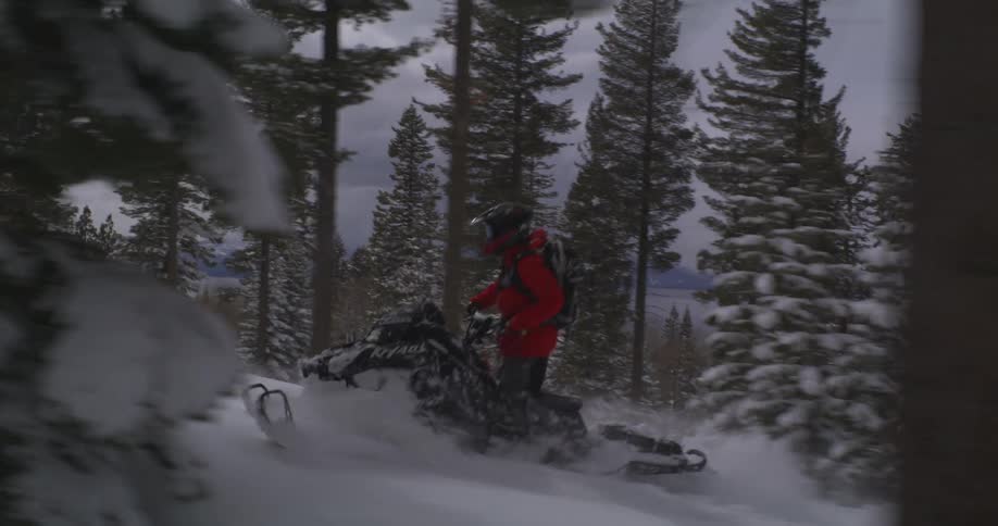 A person in a red jacket is riding a snowmobile through a snowy forest kicking up a trail of snow behind