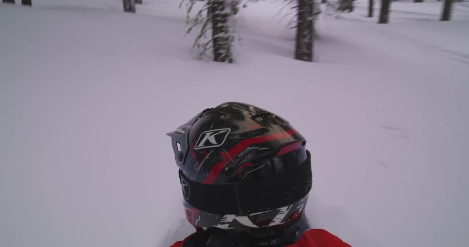 Person rides a snowmobile between the trees in a snowy conifer forest on a winter day