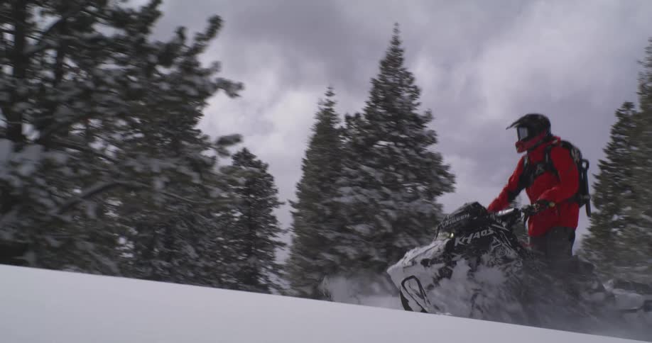 An adult is snowmobiling up a forested mountain on a cloudy winter day
