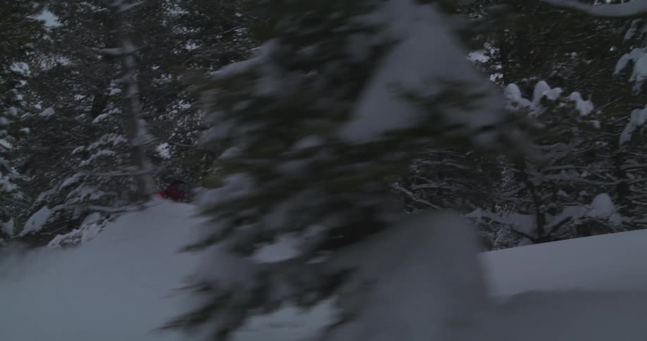 Person riding a snowmobile at high speed over soft snow surrounded by snowcovered trees