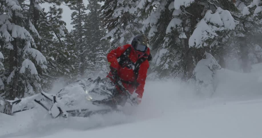 A person in a red jacket emerges from behind a snowcovered tree on a snowmobile leaping into the air before driving off