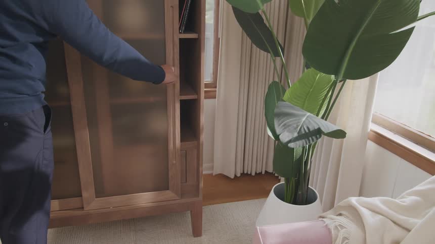 A person is opening a wooden cabinet with shelves displaying decorative vases while a potted plant with large green leaves is placed nearby in a welllit room with curtains and a window