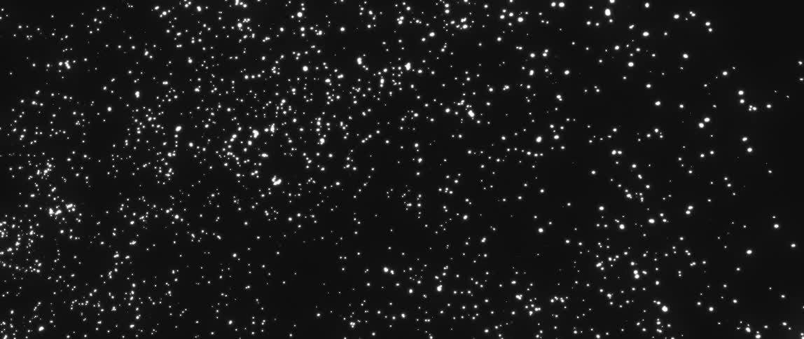 Dark liquid mixture sparkles as it flows and churns