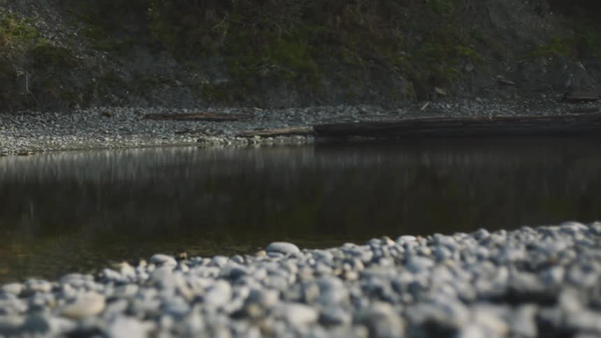 Gray rocks on the shore of a calm lake