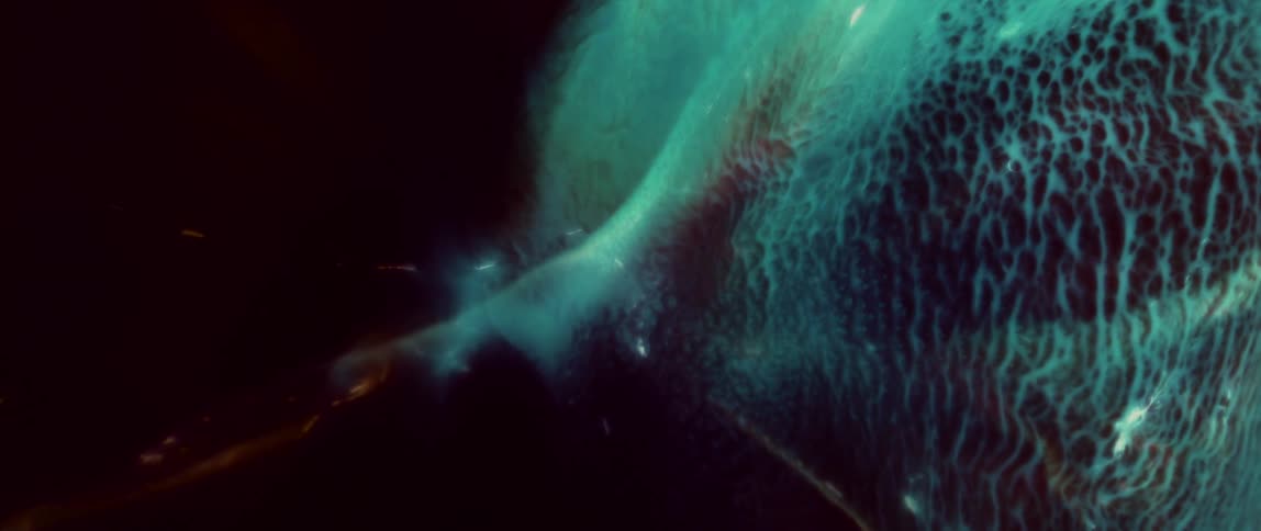 Abstract dense texture of bluegreen coloration against a black background