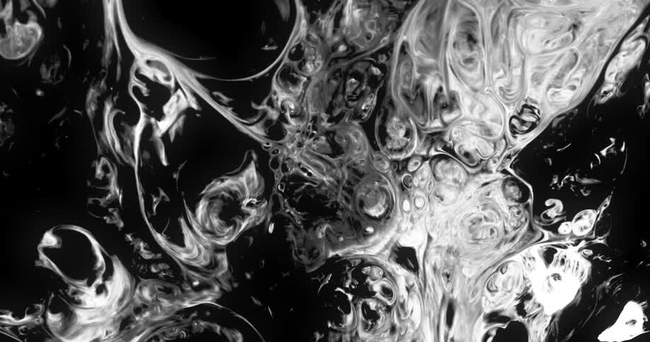 Fluid patterns and organic textures spread against a black background