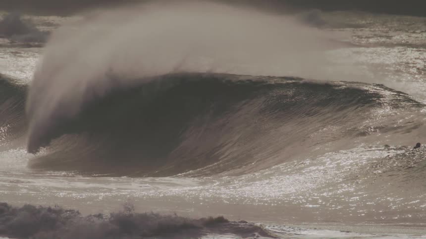 Surfers lie on their surfboards while a large wave swells and breaks