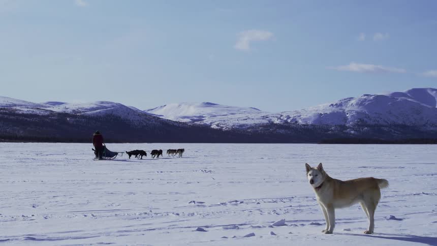 A footage of a person riding a sleigh in the snow