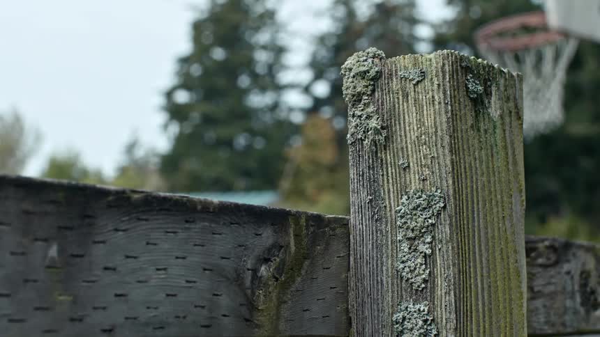 A close up clip of a wood