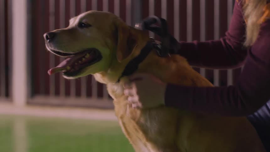 Woman petting and hugging her dog