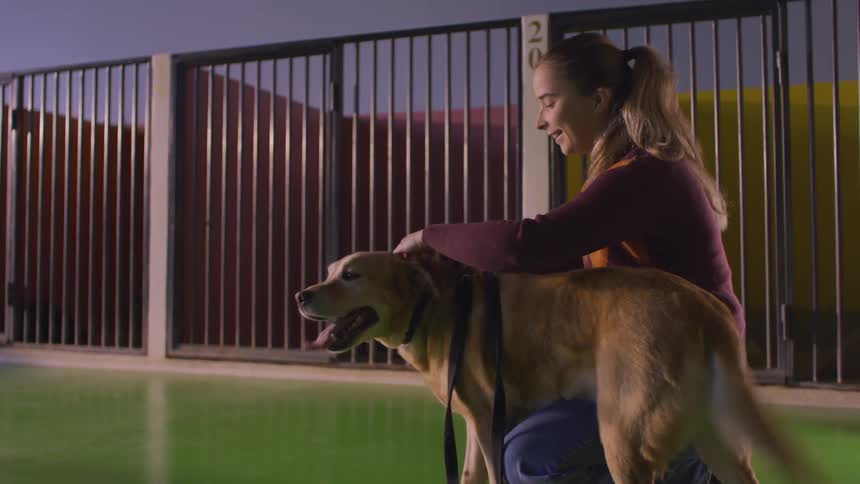 Crouching woman calls and pets a dog and puts a leash on it