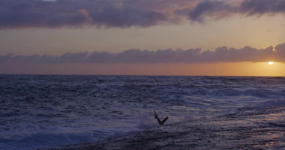 Man wearing a wet suit jumps into the water near the coast while the sun sits close to the horizon