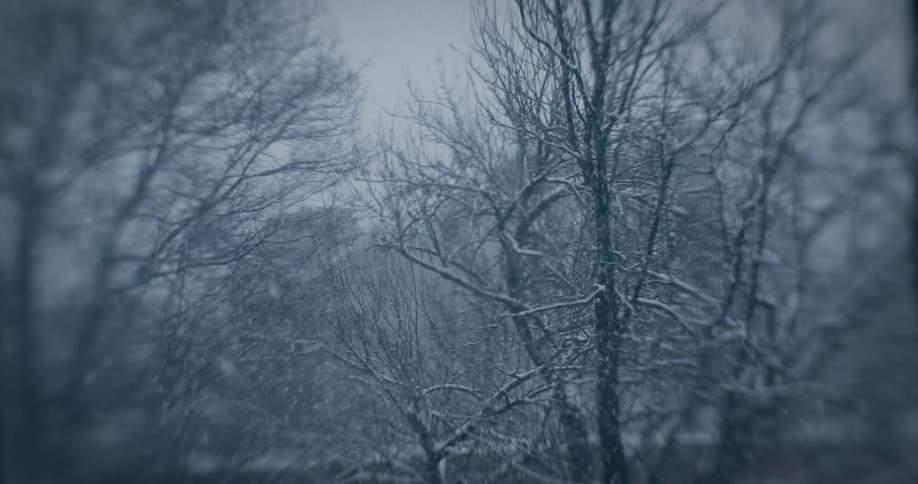 Snow falls softly on bare trees seen through a distorted window