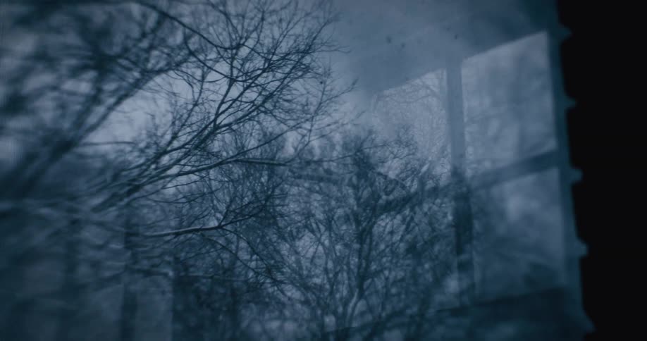 A blizzard falling in a gray region with a dry tree to the right