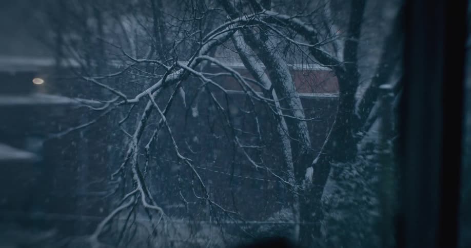 Window looks out onto a leafless tree being slowly coated by falling snow on a winter day