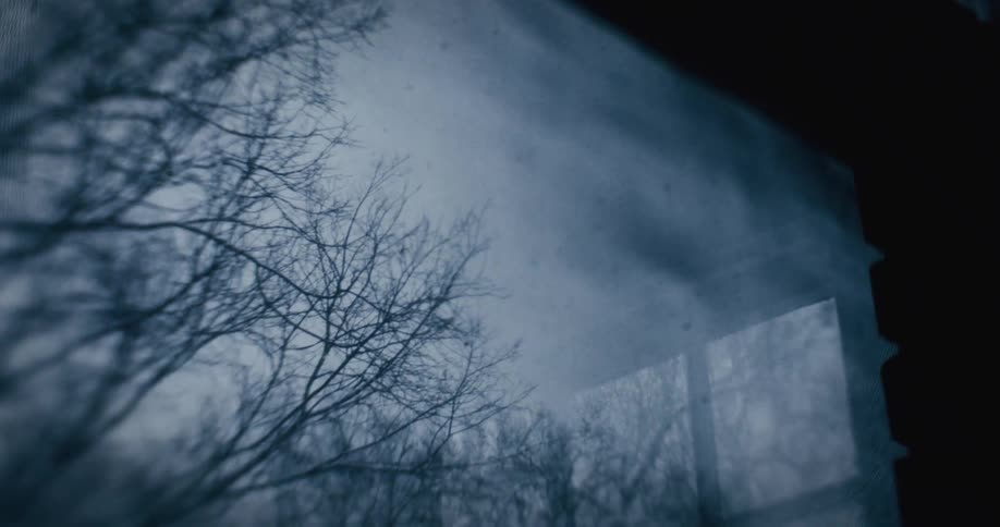 Snow falls on leafless trees outside a window with foggy glass