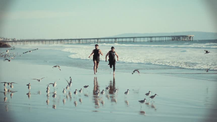 Two men running on the sand of the beach with birds flying