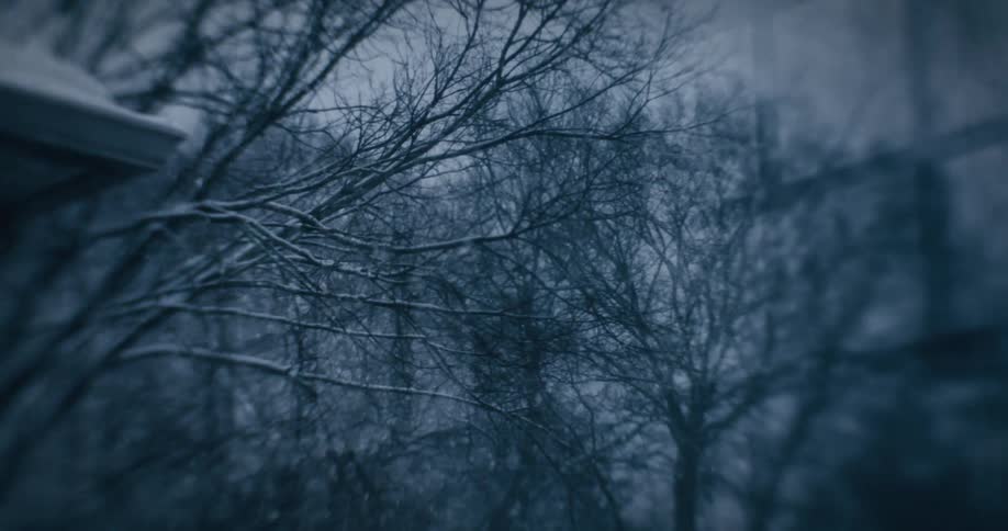 Snow covers the branches of the leafless trees outside a window during a snowy winter day