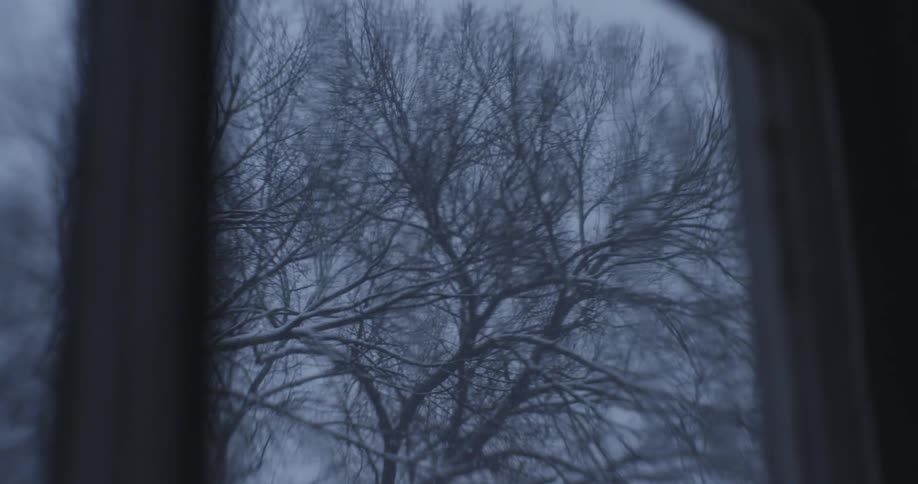 Window looks out onto leafless trees being covered by falling snow on a winter day