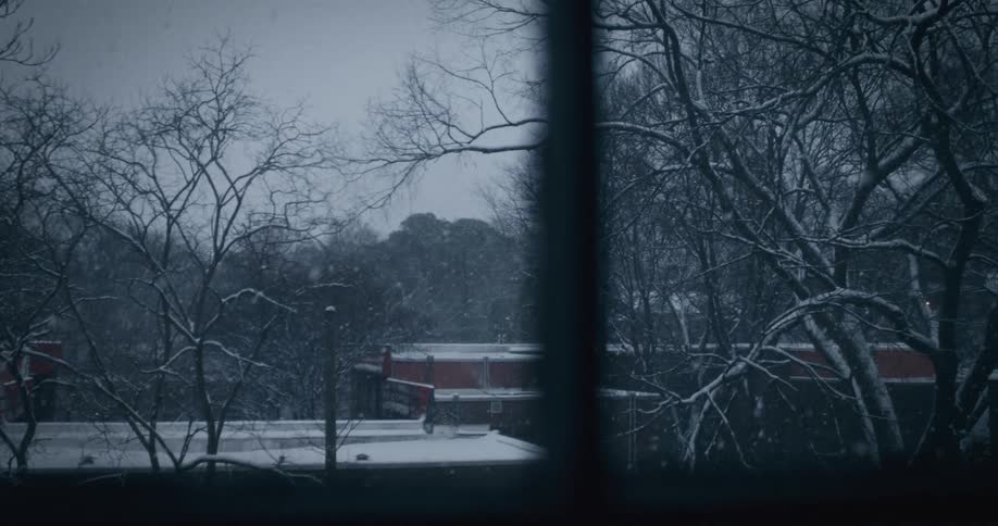View from a window of an urban neighborhood with dry trees and a snowy day