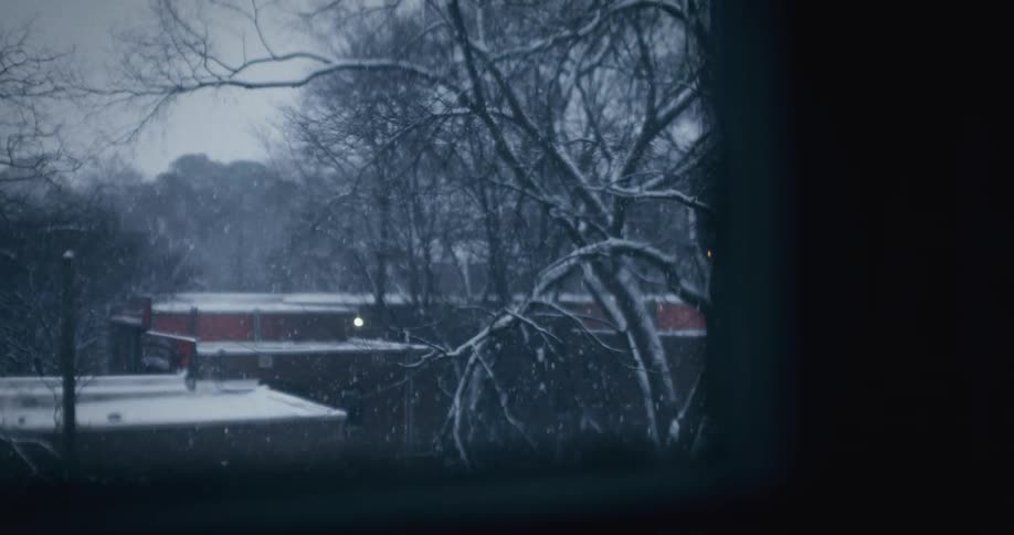 A blizzard falling in an outdoor environment that has some dry trees