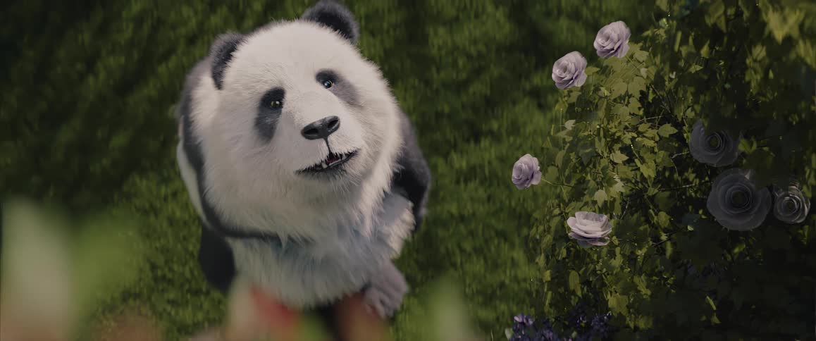 Happy panda in a field watching a butterfly fly