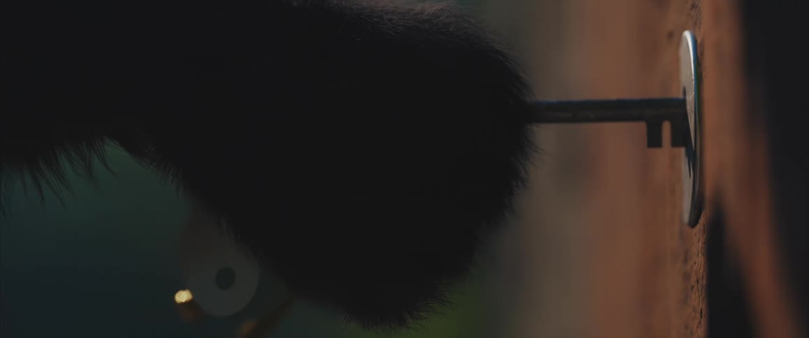 Furry paw holding a key while inserting it into a lock
