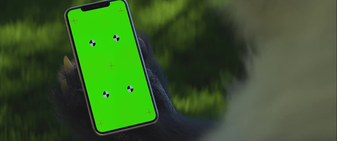 Paws of an animal holding a smartphone