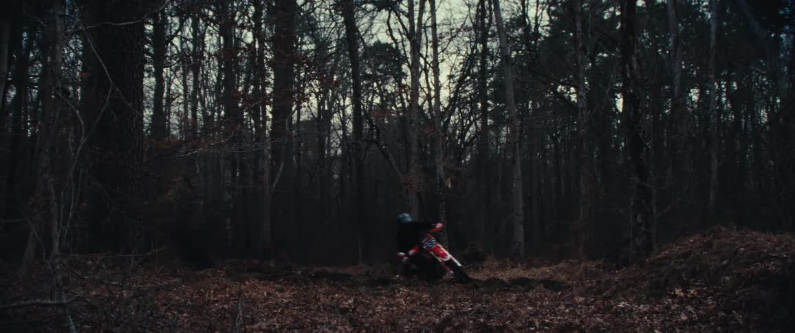 A person wearing a helmet is riding a red dirt bike through a dense forest with tall leafless trees and a ground covered in brown leaves